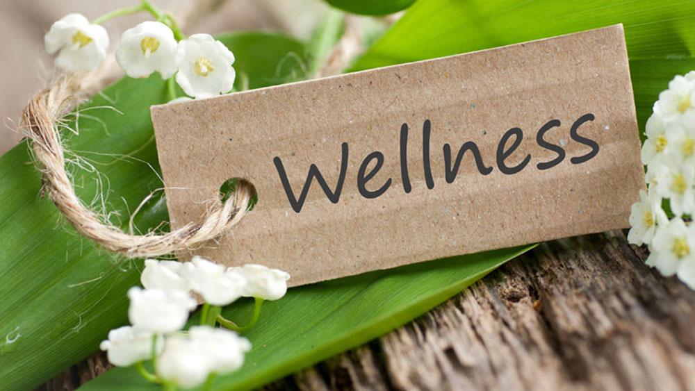 Whole Body Wellness Summit January 19, 2019
