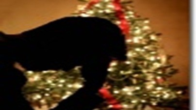 Integrating Loss During Your Holidays